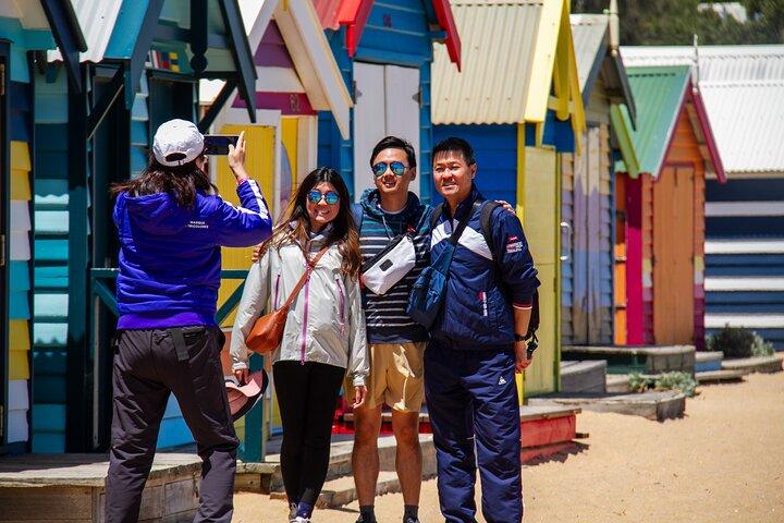 Penguin Parade, & Wildlife Encounters Eco Tour from Melbourne