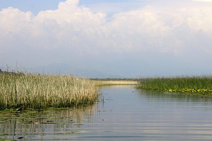 Short Skadar Lake Boat Tour to Morača River with Drinks