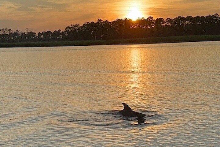 Hilton Head Island Sunset Dolphin Tour