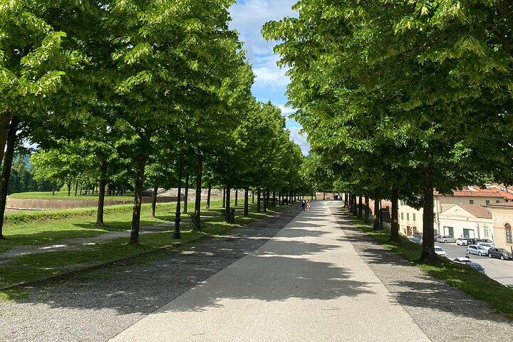 Lucca Tour and Pisa Tower + WineTasting by van from La SpeziaPort
