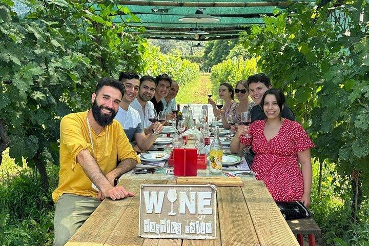 Tasting in a Tuscan Vineyard with transfer from Lucca