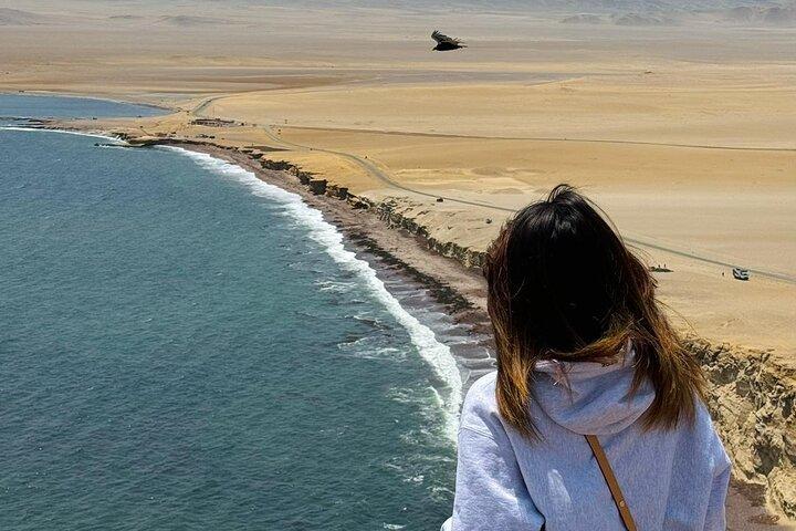 Visit the Paracas National Reserve on a SCOOTER