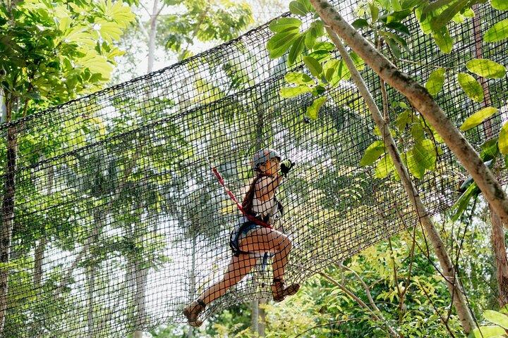 Tamborine Mountain High Ropes and Zipline Adventure Park