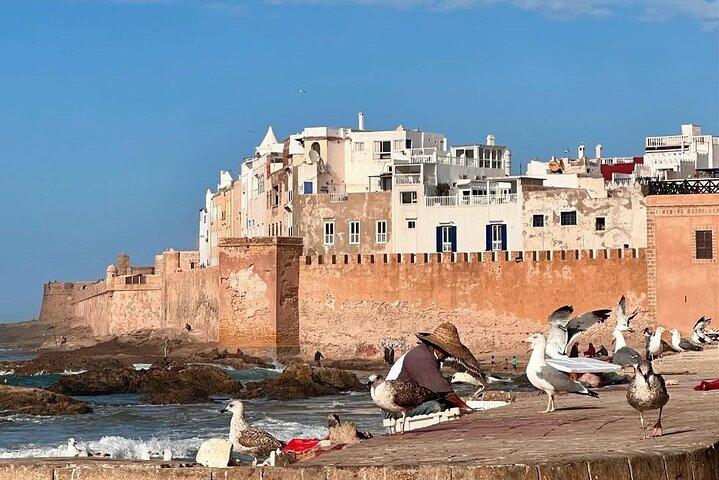 From Marrakech : Private Full Day Trip To Essaouira