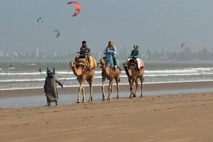 From Marrakech : Private Full Day Trip To Essaouira