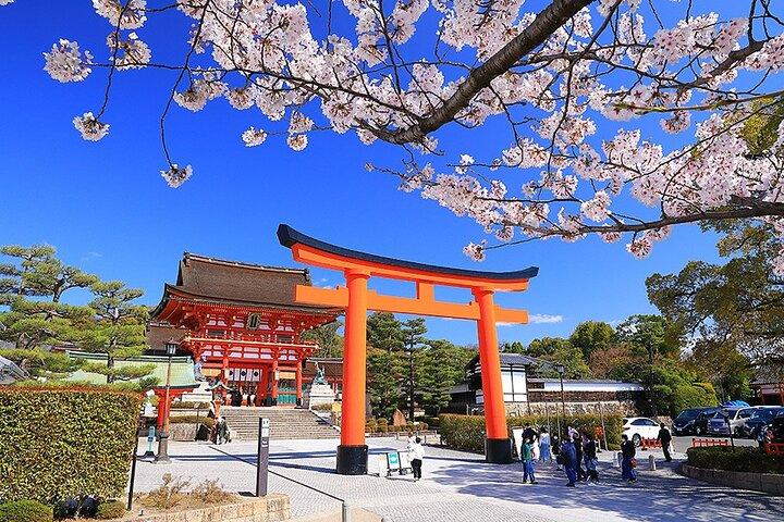 Fushimi Cherry Blossom and Sake Brewery Tour