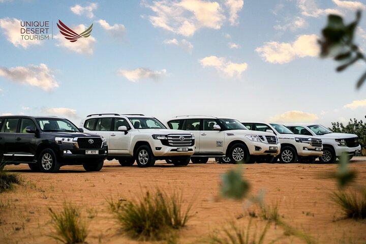 Dubai Evening Desert Safari - BBQ Dinner, Dune Bashing & Camel