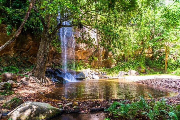 Shimba Hills Safari and Sheldrick Falls Hike From Mombasa Diani