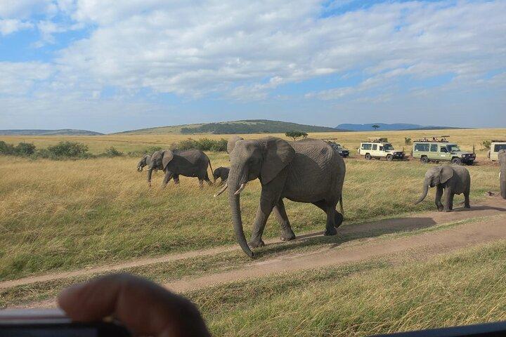 Maasai Mara Safari