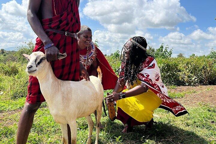 Masai Mara Village Day Tour Experience