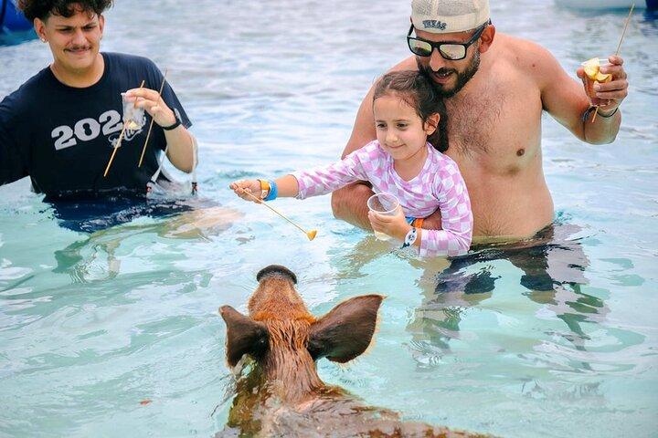 Swimming Pigs Of Rose Island Water Taxi & Turtle Viewing Nassau