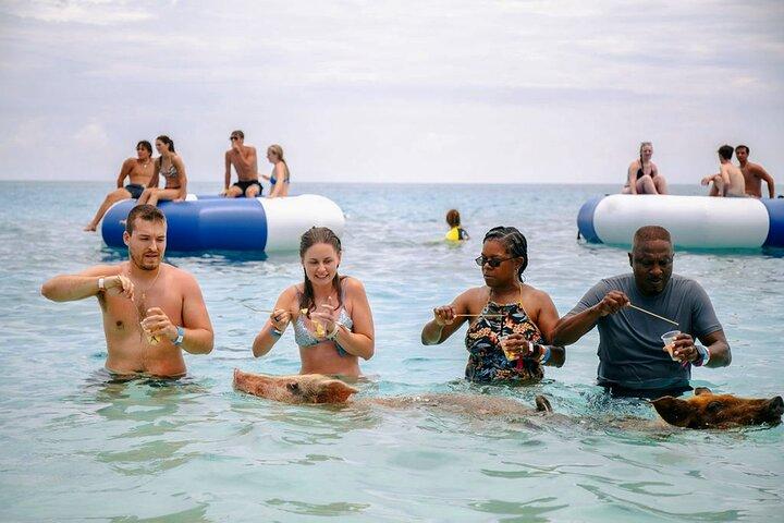 Swimming Pigs Of Rose Island Water Taxi & Turtle Viewing Nassau