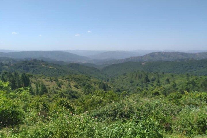 Isithumba Village and Phezulu safari Park Tour