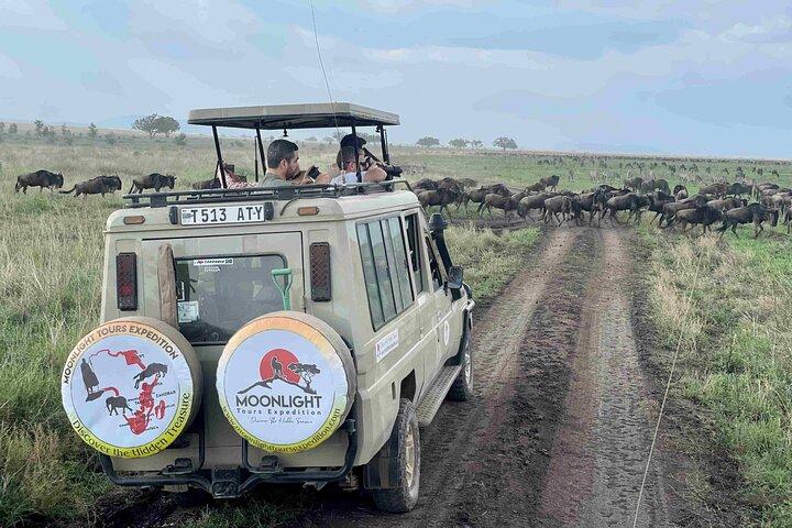 7 Days Serengeti Migration Calving Season Safari & Hot Springs