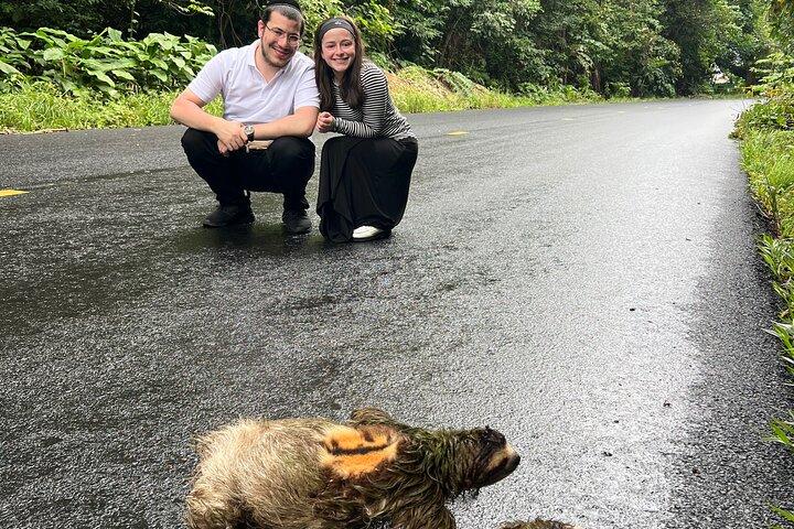 Eco-Explorers: Rainforest Hike & Monkey Island Encounter