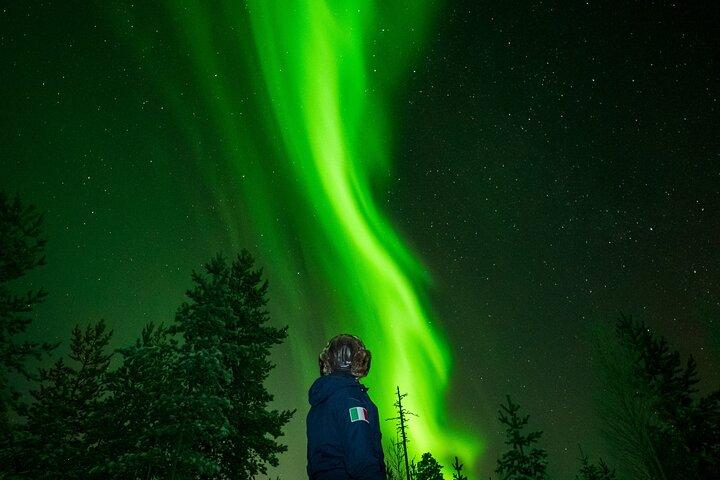 Northern Lights and Photography Tour - No Aurora = Full Refund