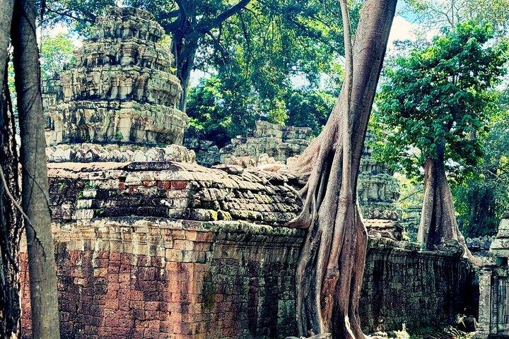 Discover Cambodia’s Wonders Phnom Penh, Kampong Cham & Siem Reap