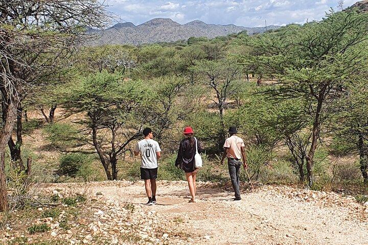 Bushman Walk with the San in Windhoek