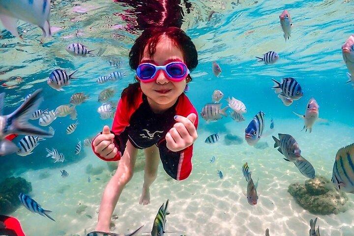 Nemo Island and Big Buddha Mountain Snorkeling from Bangkok