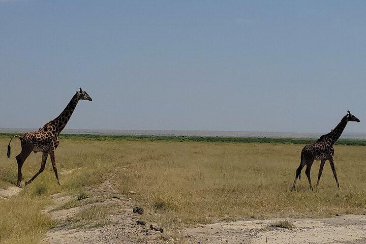 2 Days 1 Night Amboseli National Park