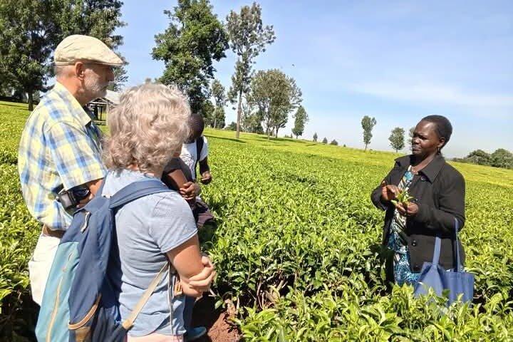 Limuru Tea Farm Visit from Nairobi