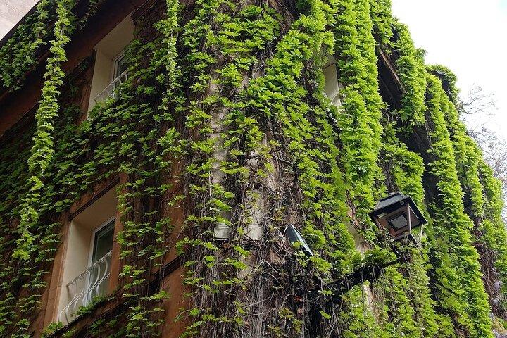 Rome private Walking Tour: Hidden Gems & Local Stories
