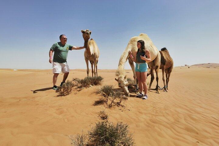 Morning Adventure Safari: CamelTrek QuadBike Sandboard Falcon Pic