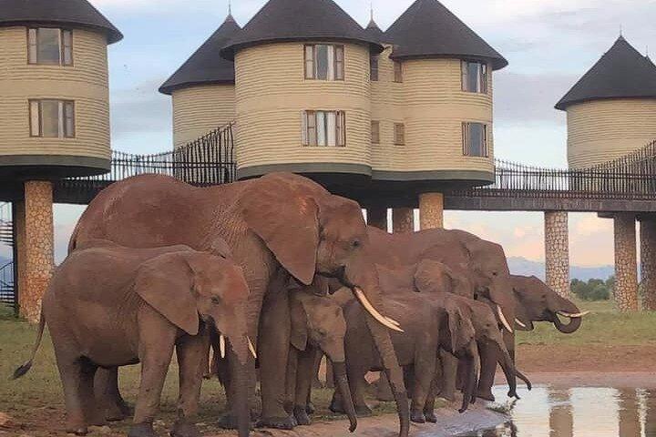 2 Day Safari in Taita Hills from Nairobi