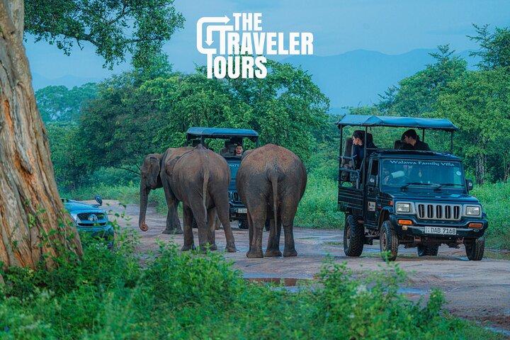 Udawalawe National Park Private Jeep Tour Safari Experience
