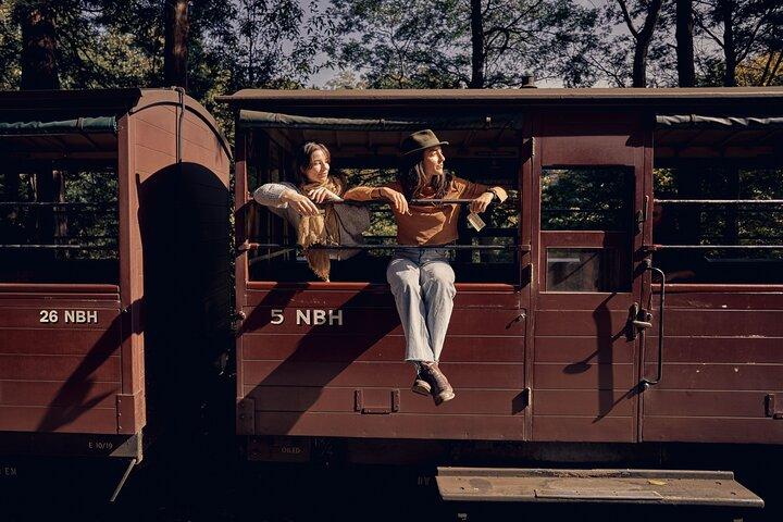 Puffing Billy & Rainforest Tour from Melbourne