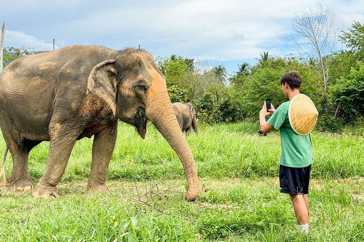 Half Day Elephant Home Sanctuary in Samui