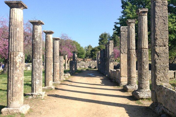 Olympia Shore Ex: Premium Private Package -Tickets & Olive Market