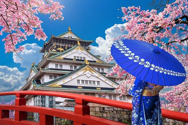 Osaka Castle Ticket