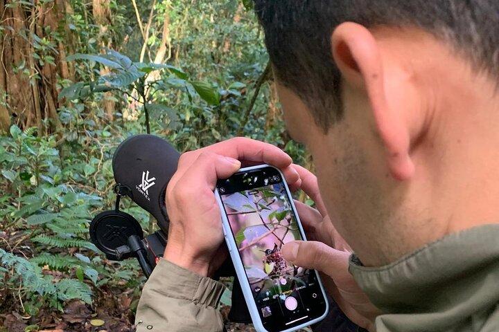 Guided Hike in the Monteverde Cloud Forest