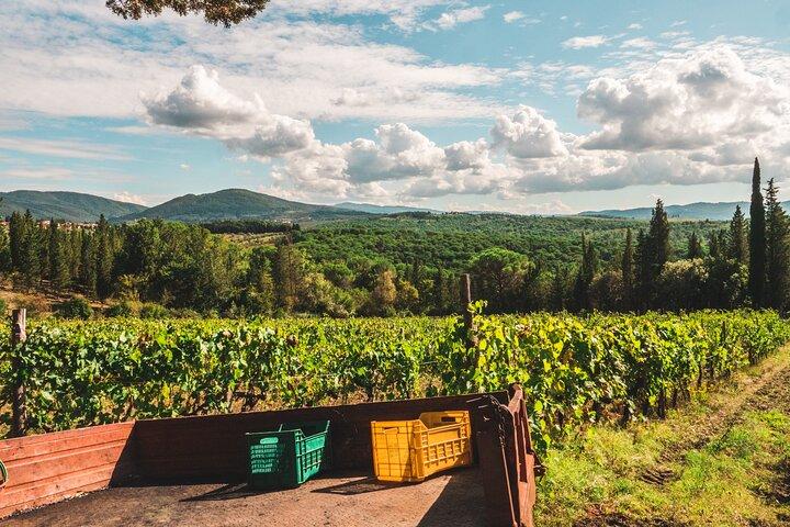 Chianti family owned organic wine tasting