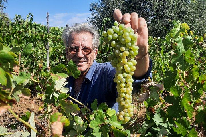 Chianti family owned organic wine tasting