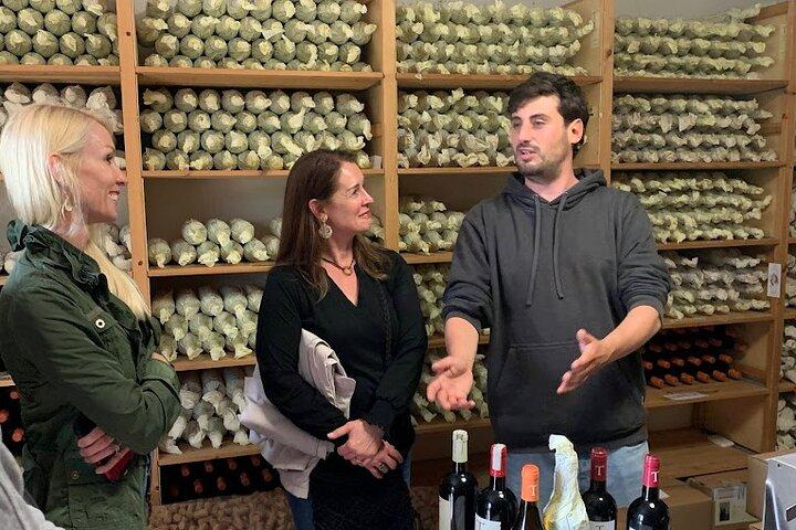 Chianti family owned organic wine tasting