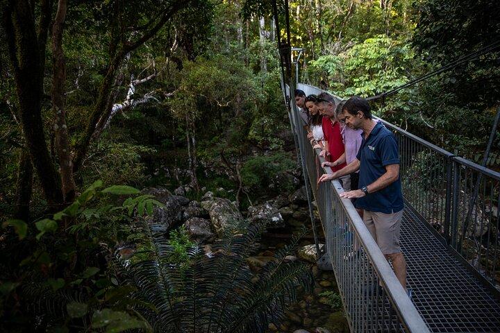Half Day Tour to Daintree Rainforest and Mossman Gorge
