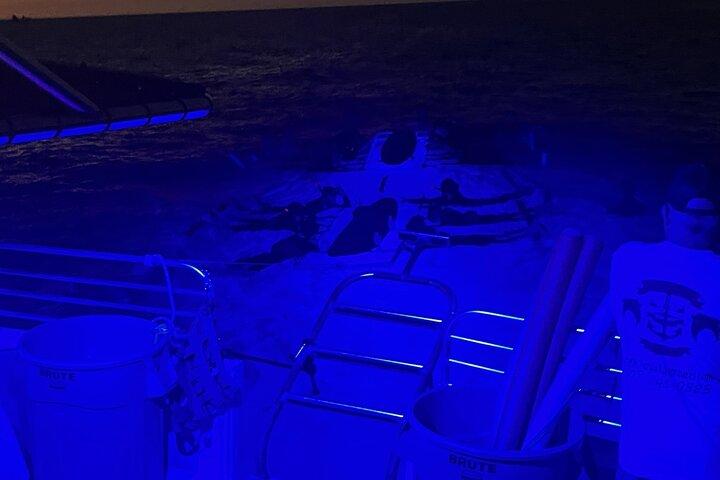 Manta Ray Night Snorkel in Kona