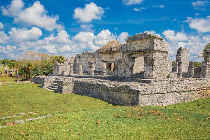 Tulum & Dolphin Connection from Cancun