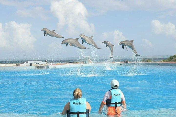 Tulum & Dolphin Connection from Cancun
