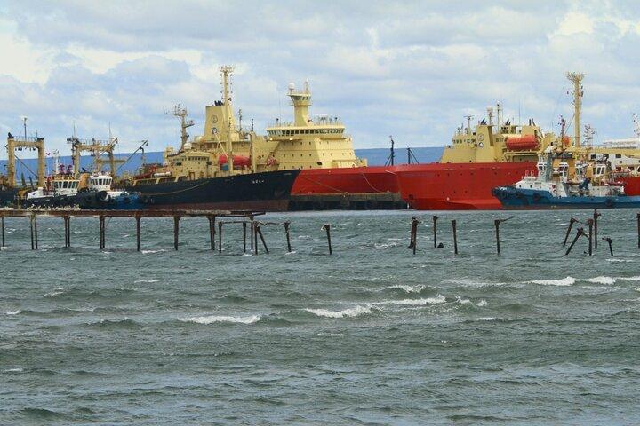Punta Arenas City Tour Shore Excursion