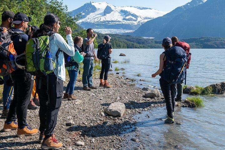 Juneau Shore Excursion: Mendenhall Glacier Guided Hike