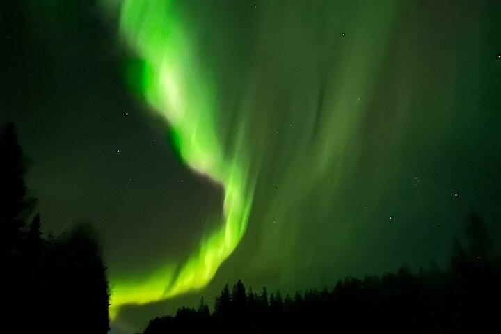 PRO Northern Lights Experience in Rovaniemi