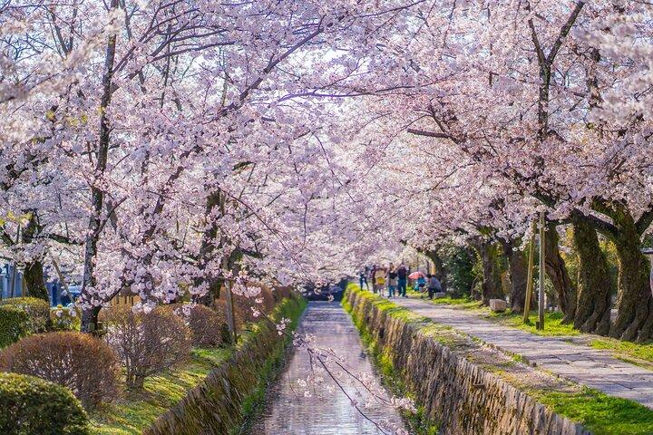 Kyoto Higashiyama E-Bike Tour *Private, Pick up from/to Hotel