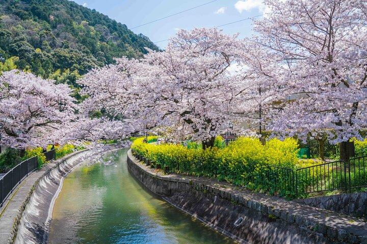 Kyoto Higashiyama E-Bike Tour *Private, Pick up from/to Hotel