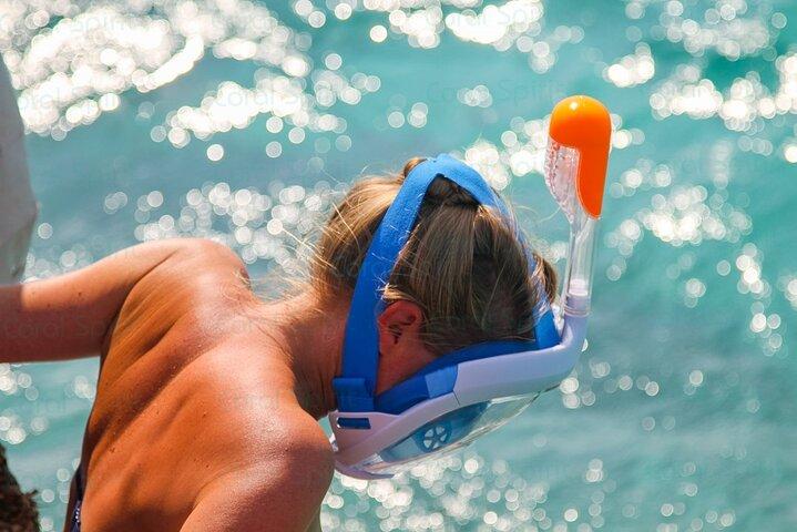 Wasini Dolphin Spotting Tour