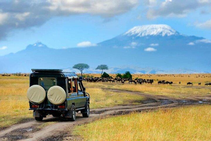 6 Days Masai Mara, Lake Nakuru and Amboseli Budget Group Safari