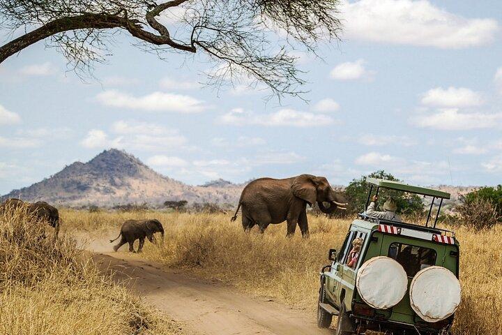 6 Days Masai Mara, Lake Nakuru and Amboseli Budget Group Safari