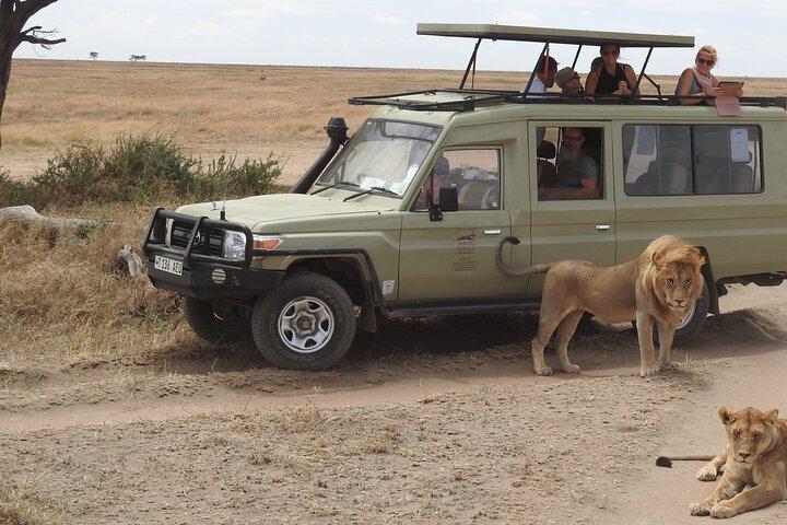 3 Days Maasai Mara Budget Safari on 4WD From Nairobi
